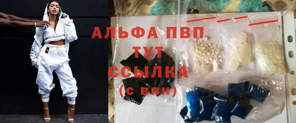 эйфоретик Надым