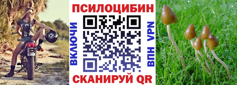 наркотики Яранск мега рабочий сайт Галлюциногенные грибы Psilocybe